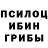 Псилоцибиновые грибы GOLDEN TEACHER Viktor Meluzov