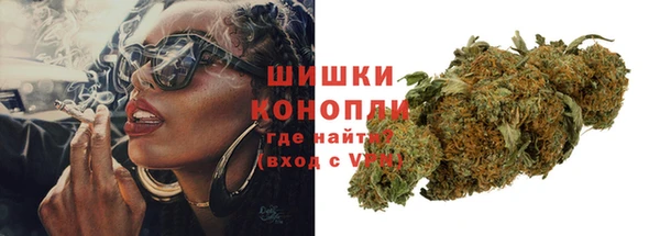 крисы Зерноград