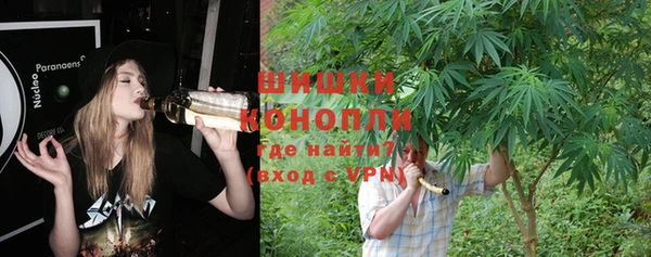 ПСИЛОЦИБИНОВЫЕ ГРИБЫ Корсаков