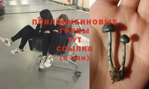 прущие крисы Алексин