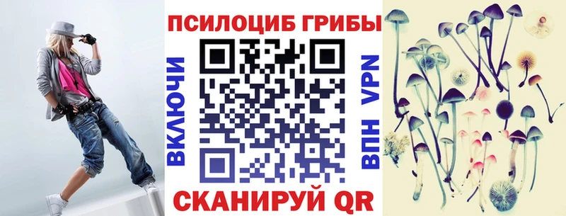 Псилоцибиновые грибы мицелий как найти закладки Протвино