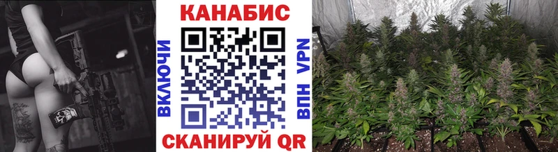 купить наркоту  KRAKEN tor  Канабис White Widow  Протвино 